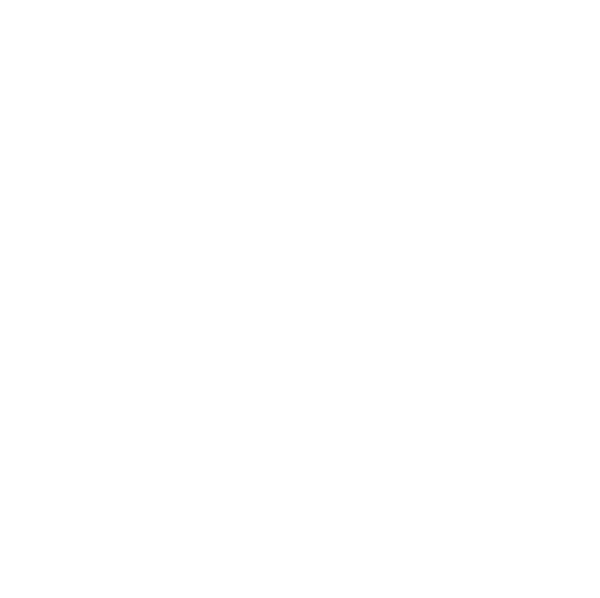 Penetration Testing Services